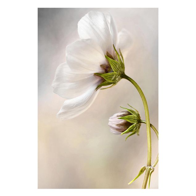 Magnettafel Blume Himmlischer Blütentraum