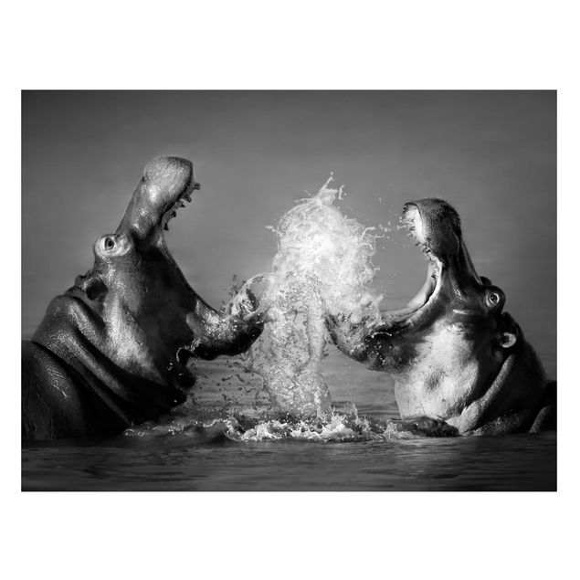 Magnettafel Tiere Hippo Fight