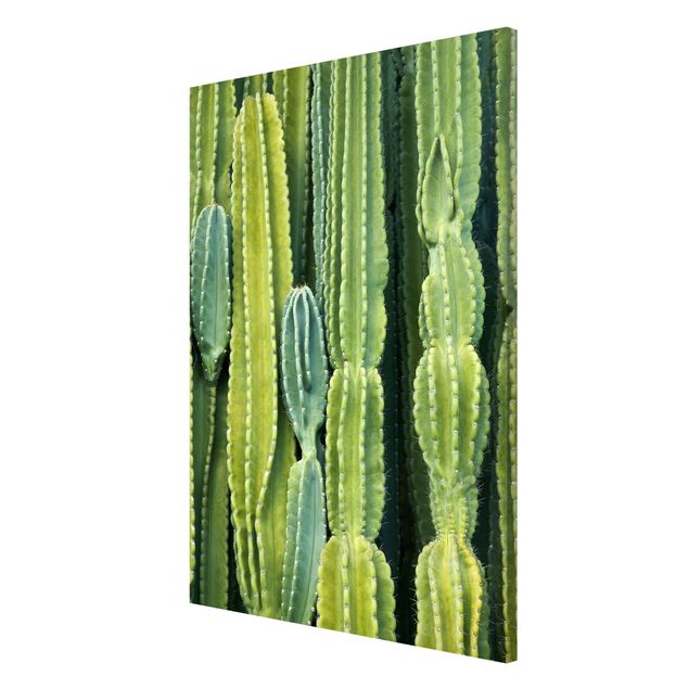 Wandbilder Floral Kaktus Wand