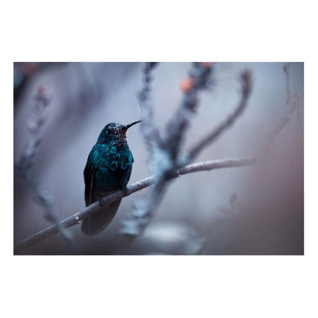 Magnettafeln Tiere Kolibri im Winter