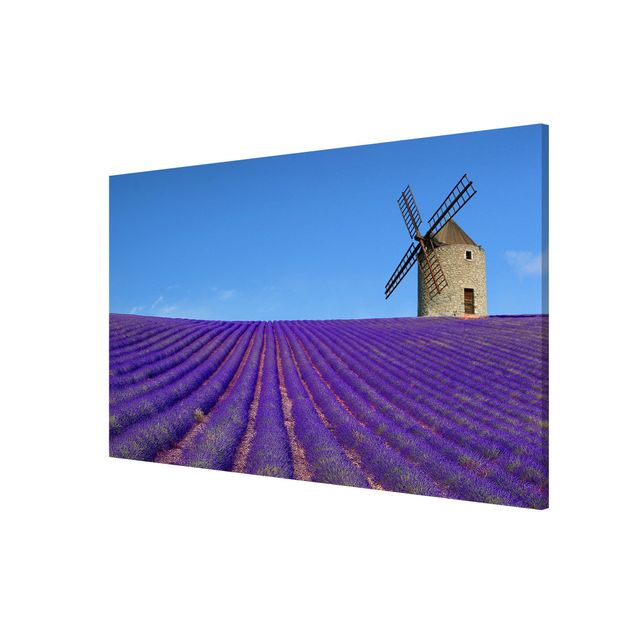 Wandbilder Natur Lavendelduft in der Provence
