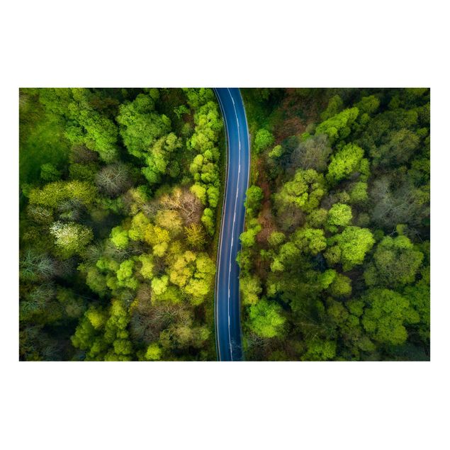 Wandbilder Bäume Luftbild - Asphaltstraße im Wald