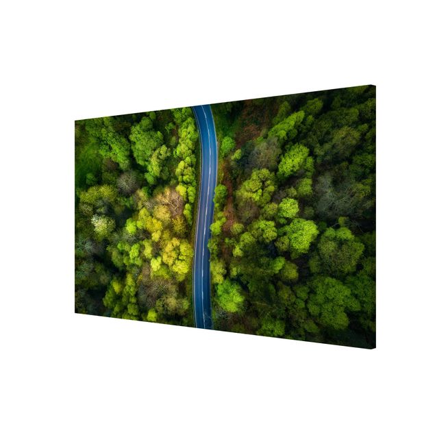 Wandbilder Landschaften Luftbild - Asphaltstraße im Wald