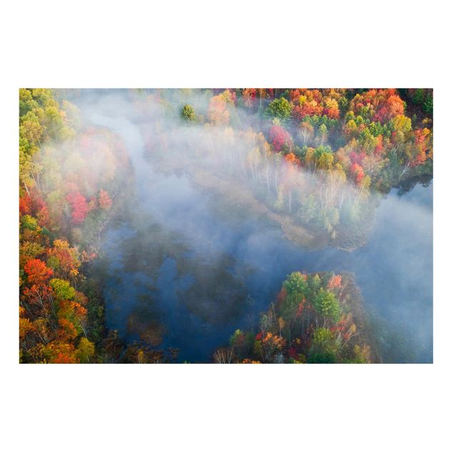 Wandbilder Bäume Luftbild - Herbst Symphonie