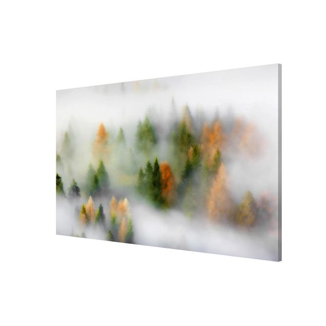 Wandbilder Landschaften Nebelwald im Herbst