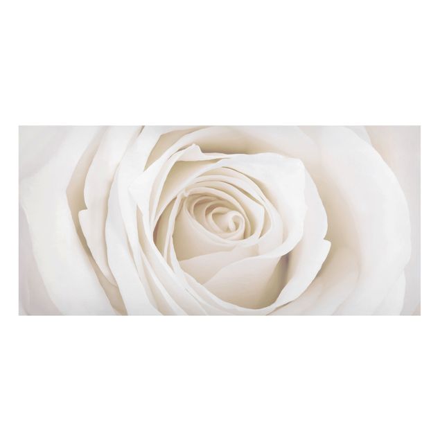 Magnettafel Blume Pretty White Rose