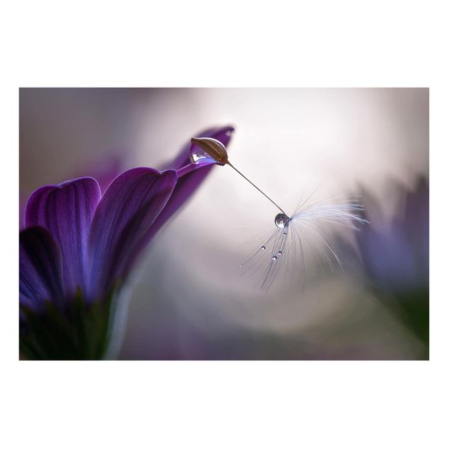 Magnettafel Blume Purple Rain
