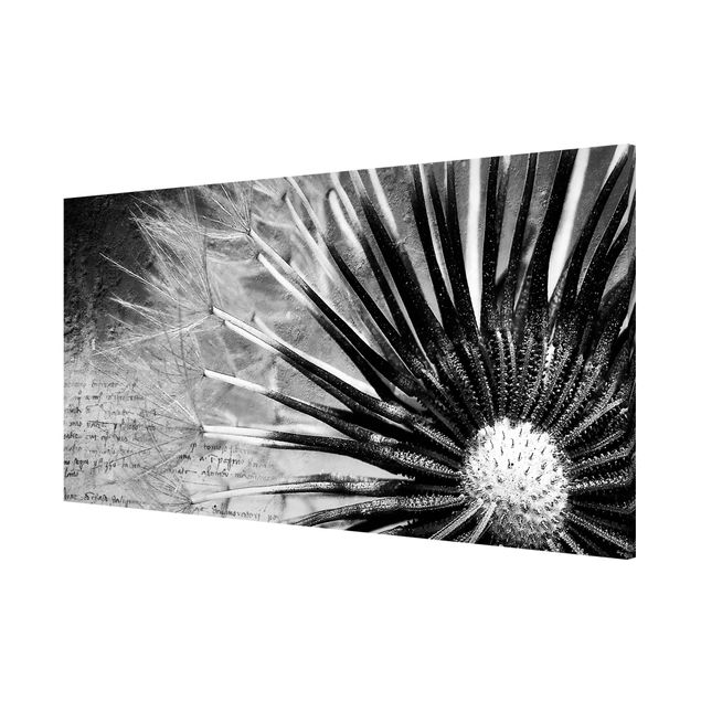 Wandbilder Floral Pusteblume Schwarz & Weiß
