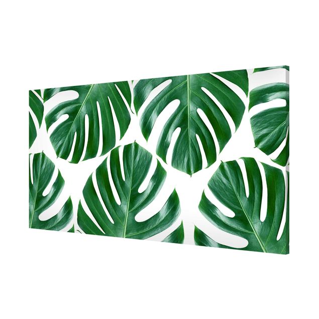 Wandbilder Floral Tropische grüne Blätter Monstera