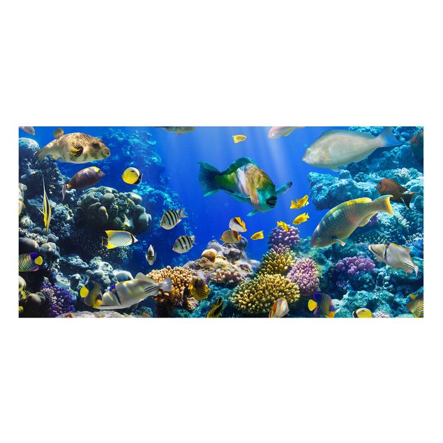 Wandbilder Landschaften Underwater Reef