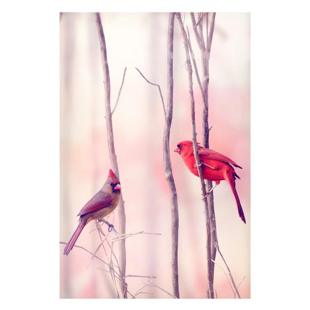 Magnettafeln Tiere Vögel auf Zweigen