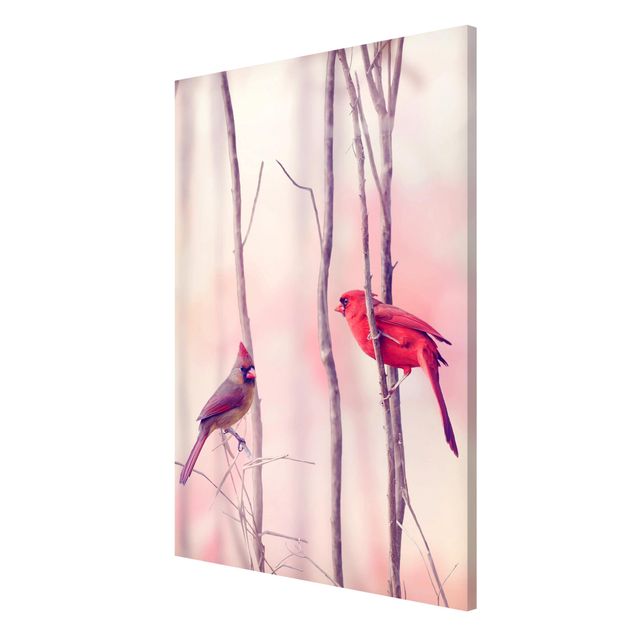 Wandbilder Modern Vögel auf Zweigen