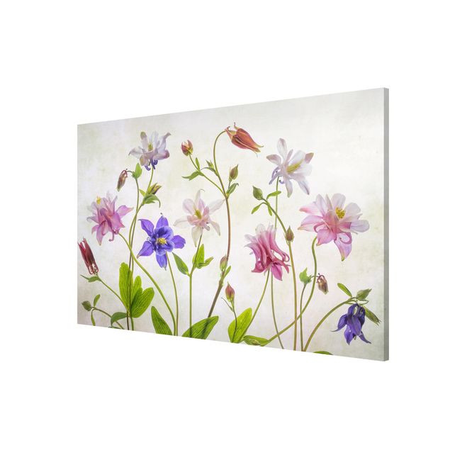 Wandbilder Floral Wald-Akelei