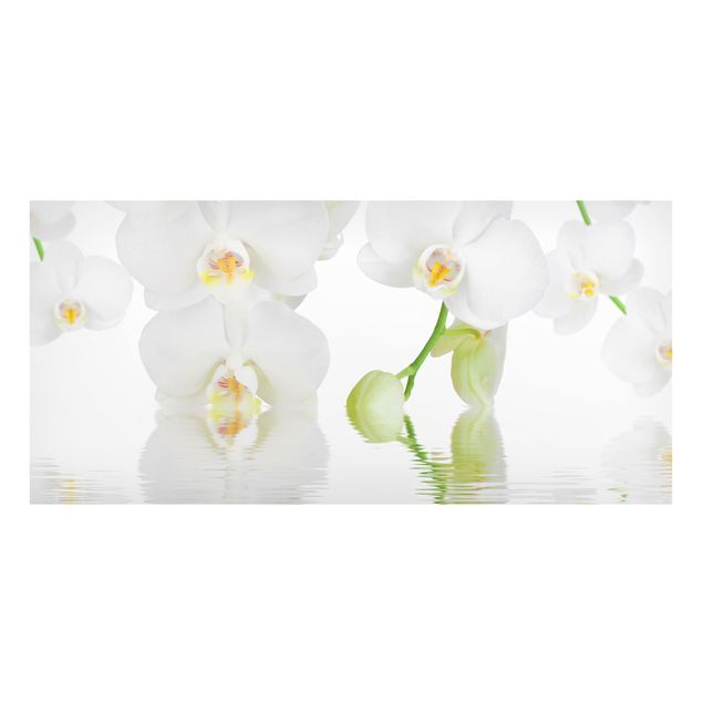 Wanddeko Küche Orchideen Wellness Orchidee
