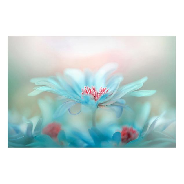 Magnettafel Blume Zarte Blüten in Pastell