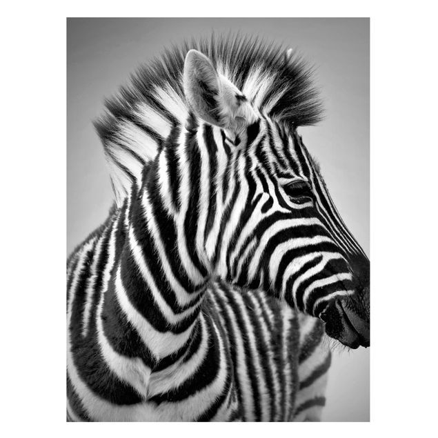 Wandbilder Zebras Zebra Baby Portrait II