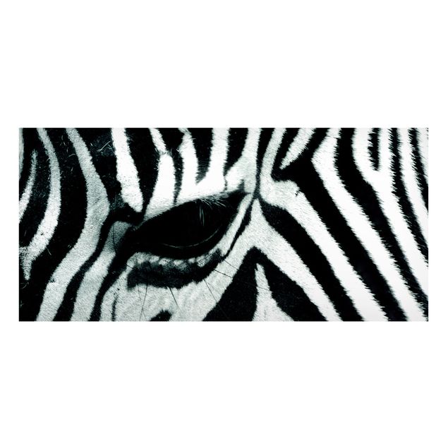 Wandbilder Zebras Zebra Crossing