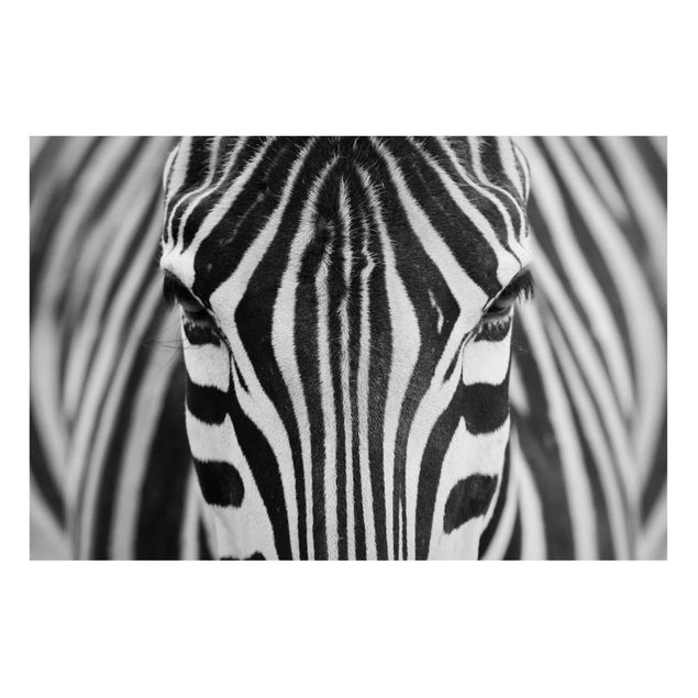Magnettafel Tiere Zebra Look