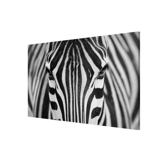 Magnettafeln Tiere Zebra Look
