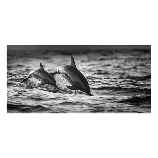 Wandbilder Fische Zwei springende Delfine