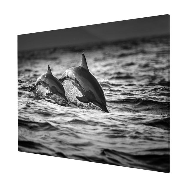 Magnettafeln Tiere Zwei springende Delfine