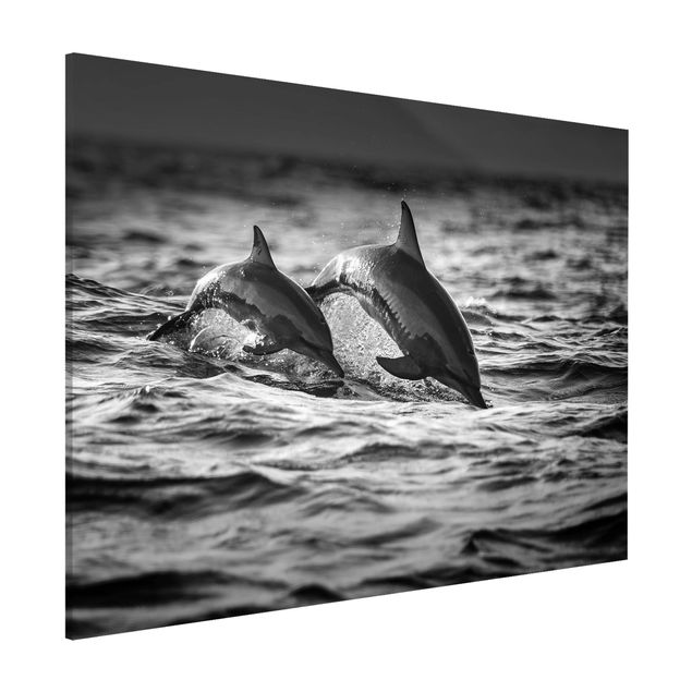Küchen Deko Zwei springende Delfine