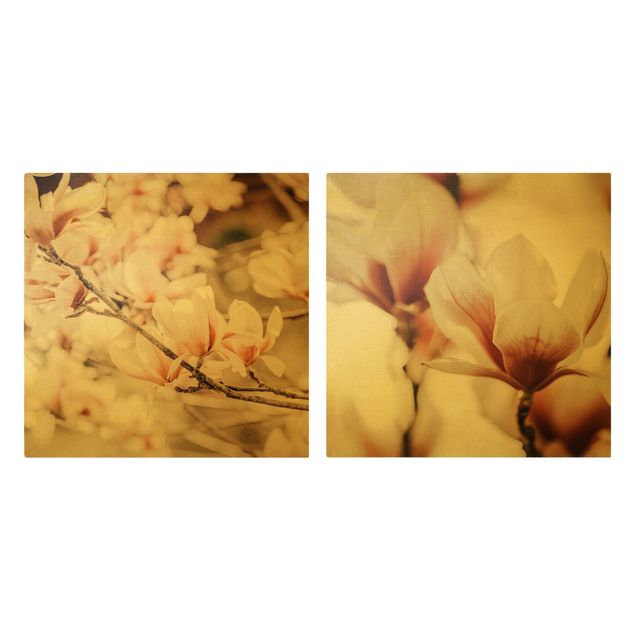 schöne Bilder Magnolienblüten Set