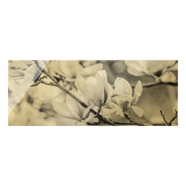 Wandbilder Schwarz-Weiß Magnolienzweige Vintagestil II