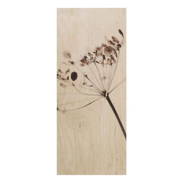 Holzbilder Blumen Makroaufnahme Trockenblume im Schatten
