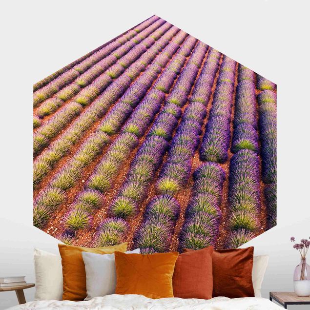 Küchen Deko Malerisches Lavendelfeld