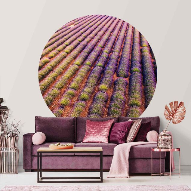 Tapeten Modern Malerisches Lavendelfeld