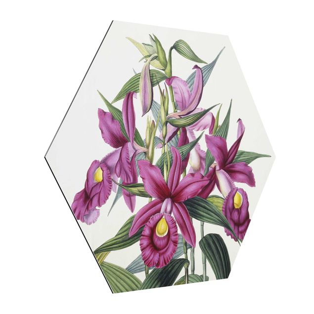 Wandbilder Blumen Maxim Gauci - Orchidee I
