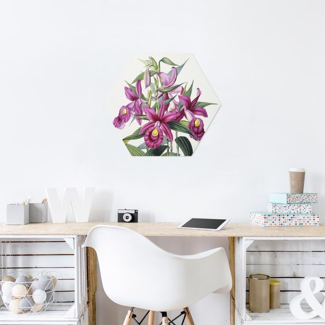 Wandbilder Floral Maxim Gauci - Orchidee I