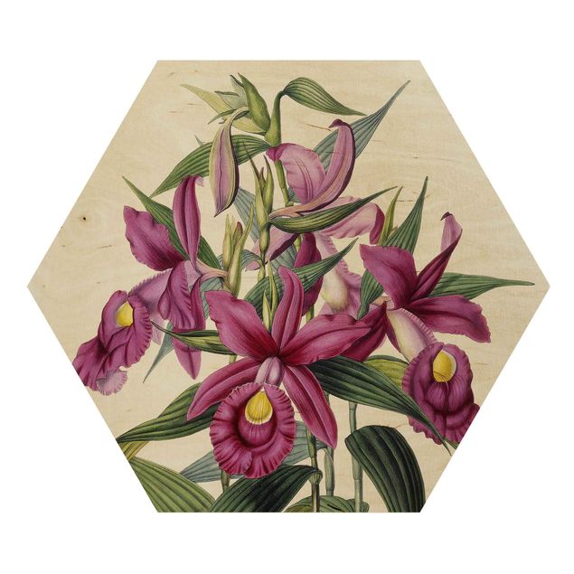 Wandbilder Blumen Maxim Gauci - Orchidee I