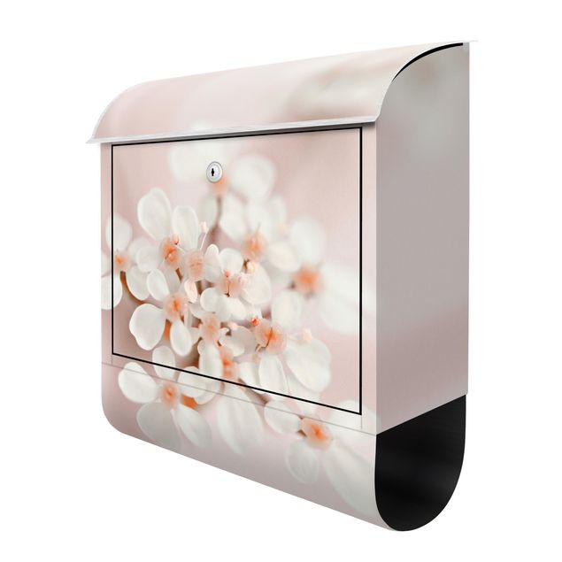 Postkasten beige Miniblüten im Rosanen Licht