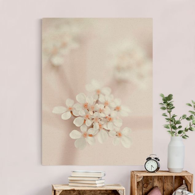 Leinwandbilder Blumen Miniblüten im Rosanen Licht