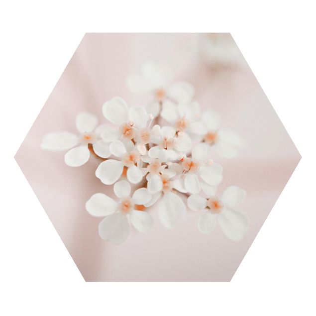 Monika Strigel Bilder Miniblüten im Rosanen Licht
