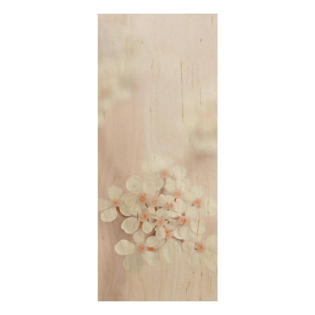 Holzbilder Blumen Miniblüten im Rosanen Licht