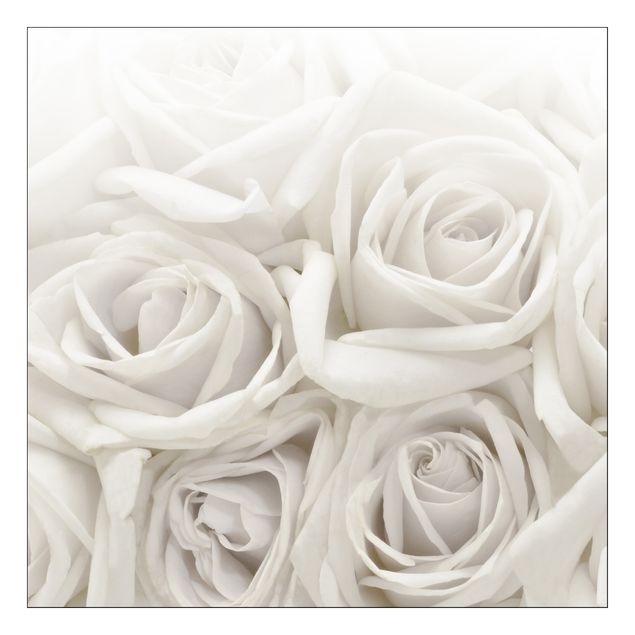 Klebefolie für Möbel Weiße Rosen