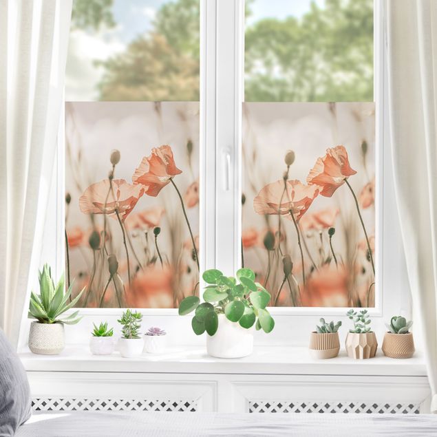 Fensterfolie - Sichtschutz - Mohnblüten im Sommerwind - Fensterbilder