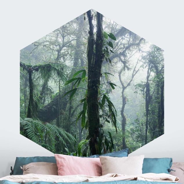 Fototapete Wald Monteverde Nebelwald