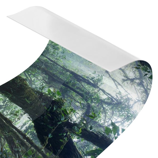 Klebefolien selbstklebend Monteverde Nebelwald