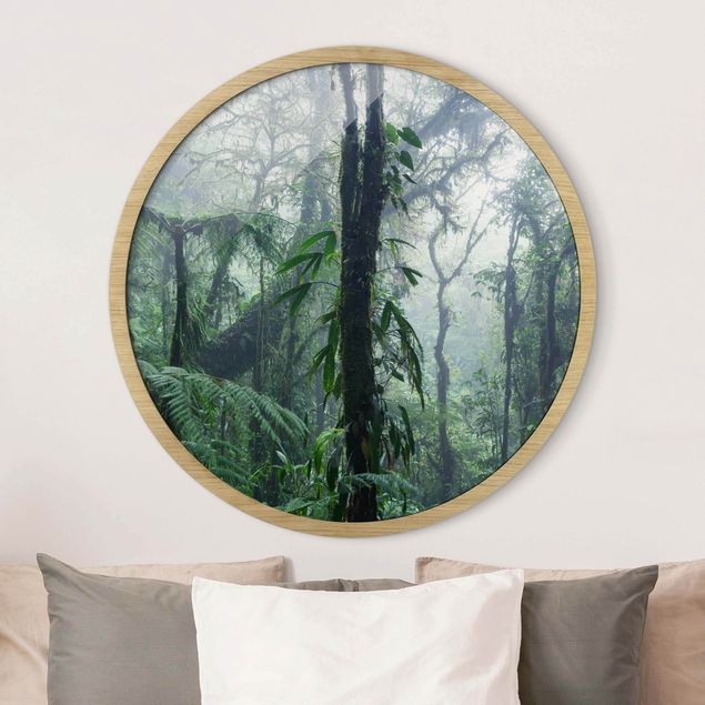 Wandbilder Bäume Monteverde Nebelwald