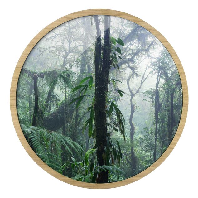 Gerahmte Bilder Landschaften Monteverde Nebelwald
