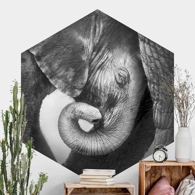 Elefanten Tapete Mutterliebe