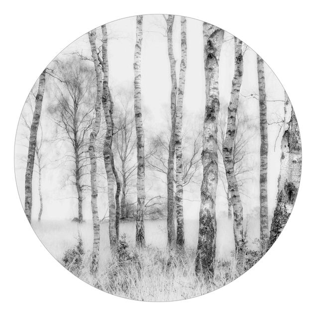 Tapete Schwarz-Weiß Mystischer Birkenwald Schwarz-Weiß