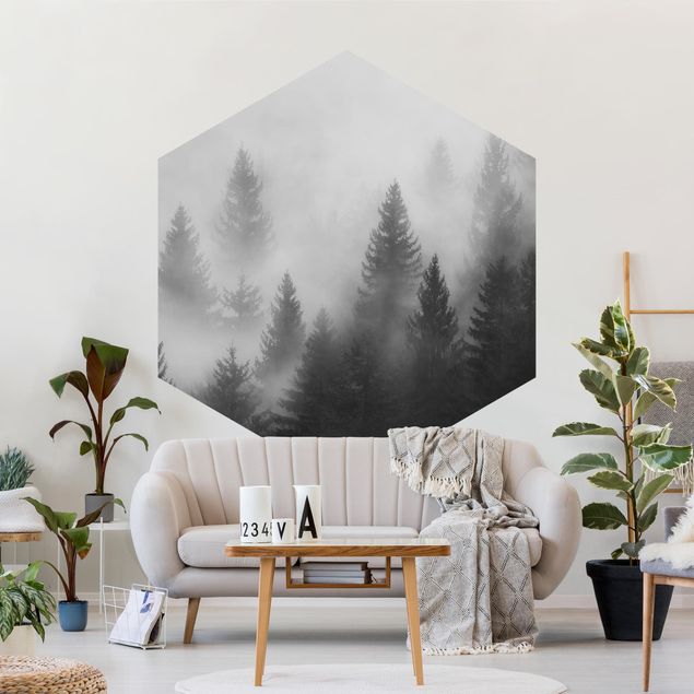 Fototapete modern Nadelwald im Nebel Schwarz Weiß