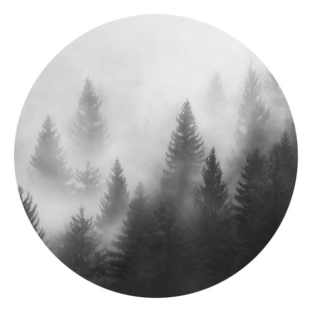Tapete Schwarz-Weiß Nadelwald im Nebel Schwarz Weiß