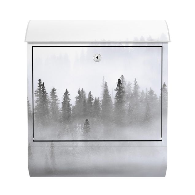 Briefkästen Landschaften Nebel im Tannenwald Schwarz-Weiß