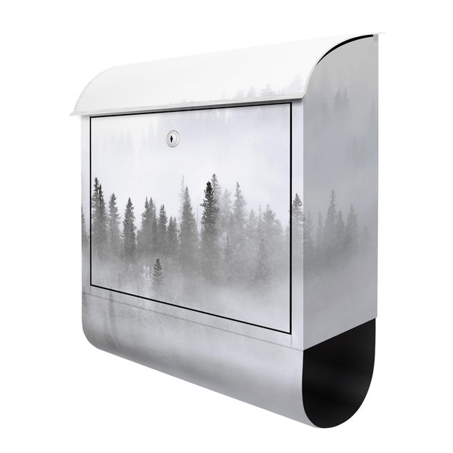 Postkasten schwarz Nebel im Tannenwald Schwarz-Weiß